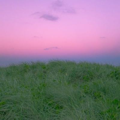 羌塘草原孕育“新希望”